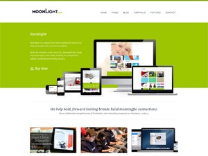 MoonLight Responsive Wordpress Theme premium WordPress theme MoonLight Responsive Wordpress Theme premium WordPress theme