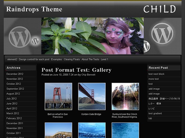 raindrops child WordPress theme raindrops child WordPress theme