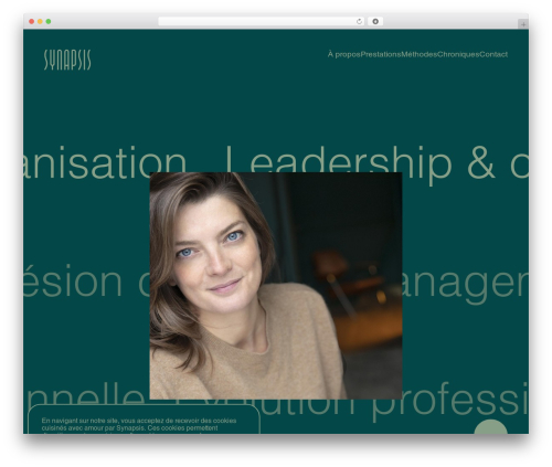Synapsis WordPress theme - synapsis.pro