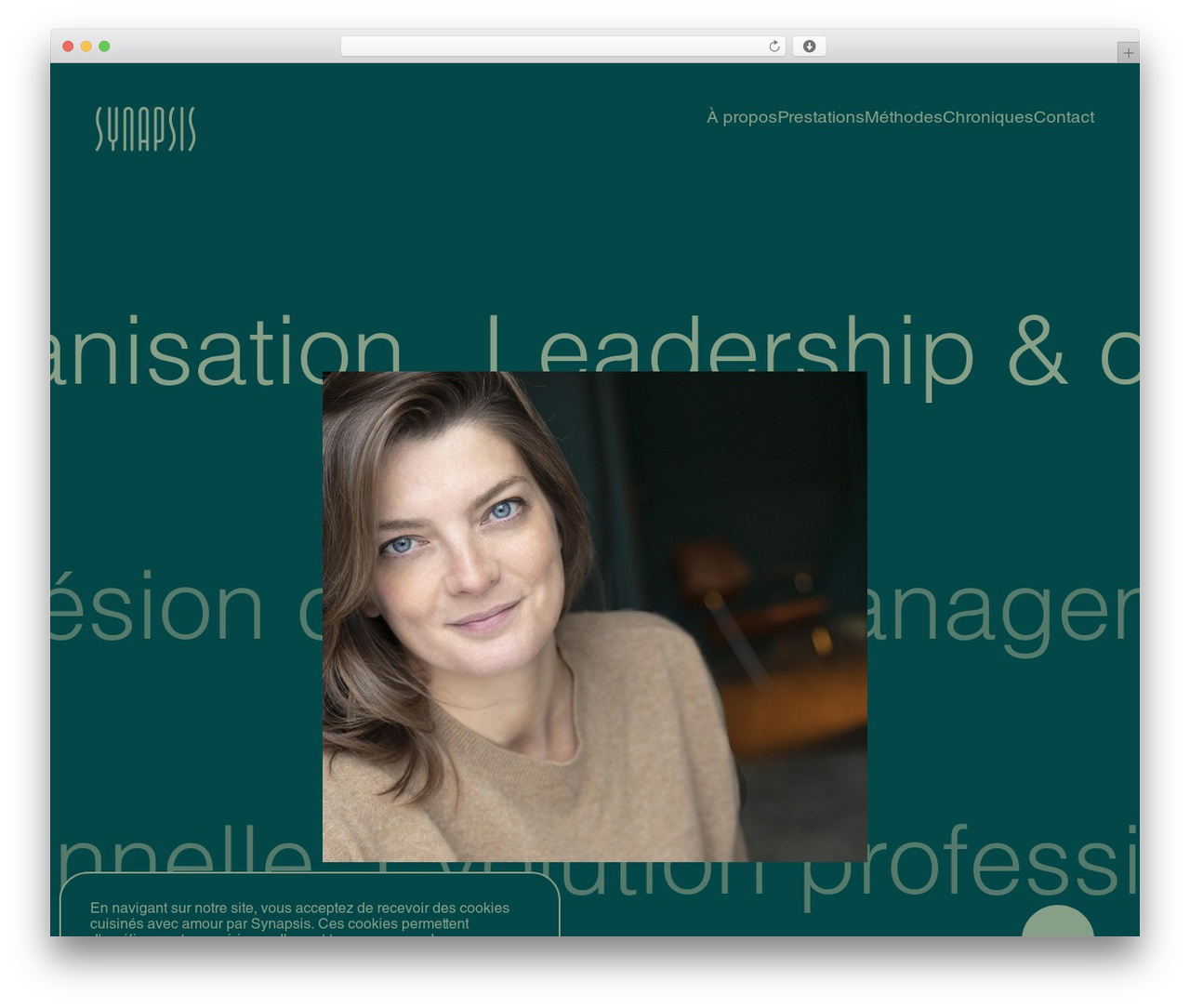 Synapsis WordPress theme - synapsis.pro Synapsis WordPress theme - synapsis.pro