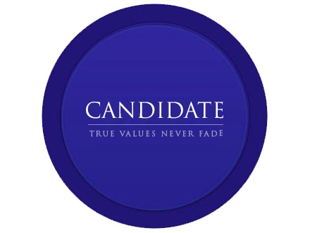 Theme WordPress Candidate16 by ThemeBlossom