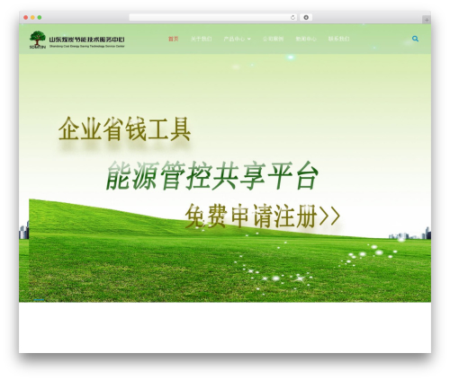Font awesome local WordPress plugin - nyzg.cn