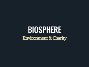 WordPress theme Biosphere by DanyDuchaine