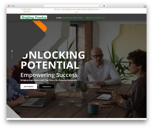 WordPress theme Divi - staffingpandas.com