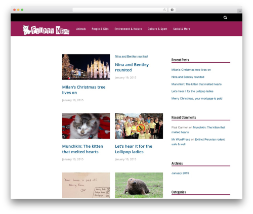WordPress theme Magazine - fluffynews.co.uk