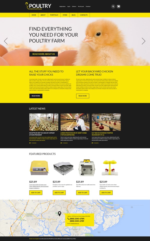 WordPress theme theme50926 by Template_Help.com