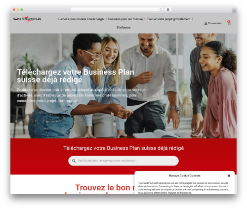 WordPress theme Hello Elementor - swiss-business-plan.ch