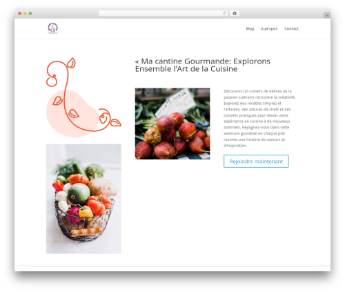 Divi contact form zero spam WordPress plugin - macantinegourmande.com