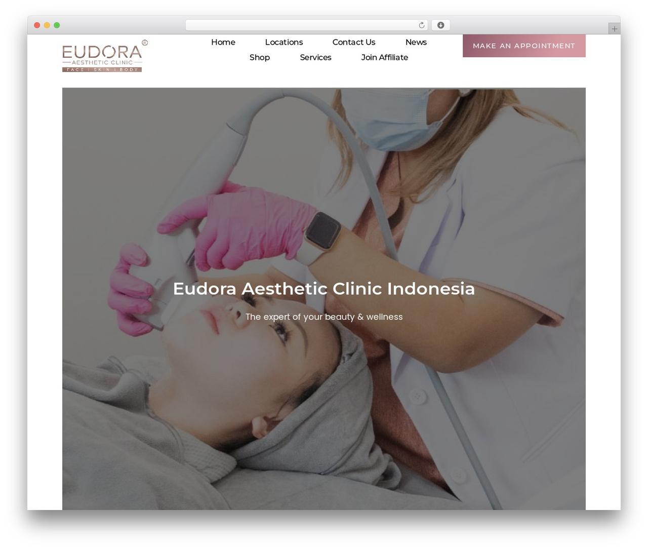 Hello Elementor WordPress theme - eudoraclinic.com