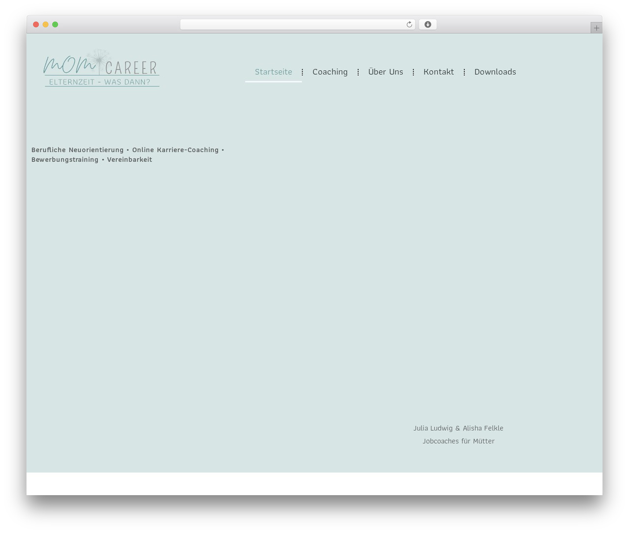 MasterStudy WordPress theme - momcareer.de
