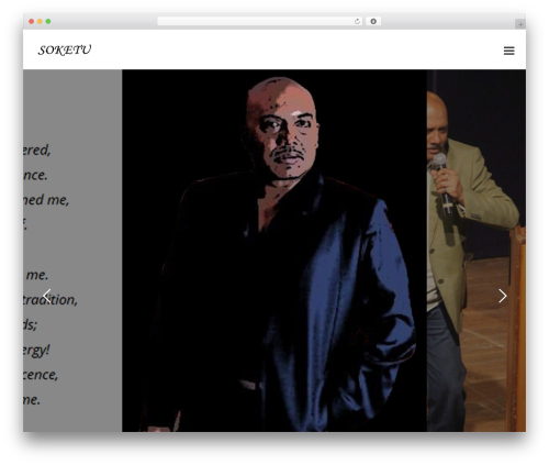 Mezzo premium WordPress theme - soketu.in