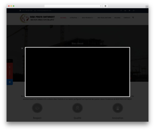 Gallery in columns (gallery-masonry-editor) free WordPress plugin - newprefa.com