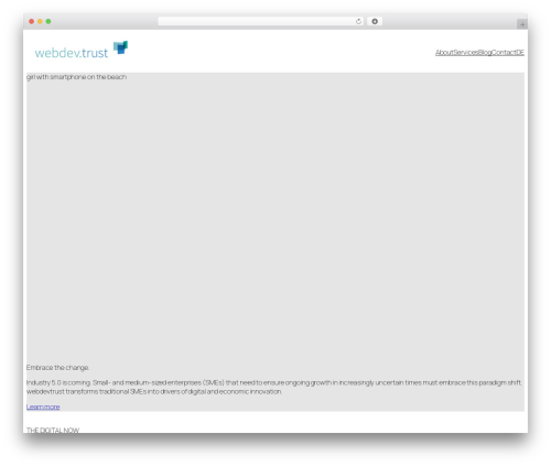 webdevtrust WordPress theme - webdevtrust.com