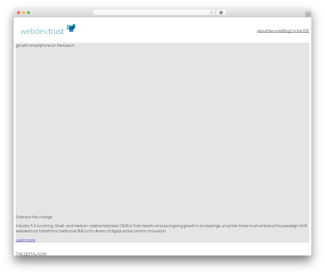 webdevtrust WordPress theme - webdevtrust.com webdevtrust WordPress theme - webdevtrust.com