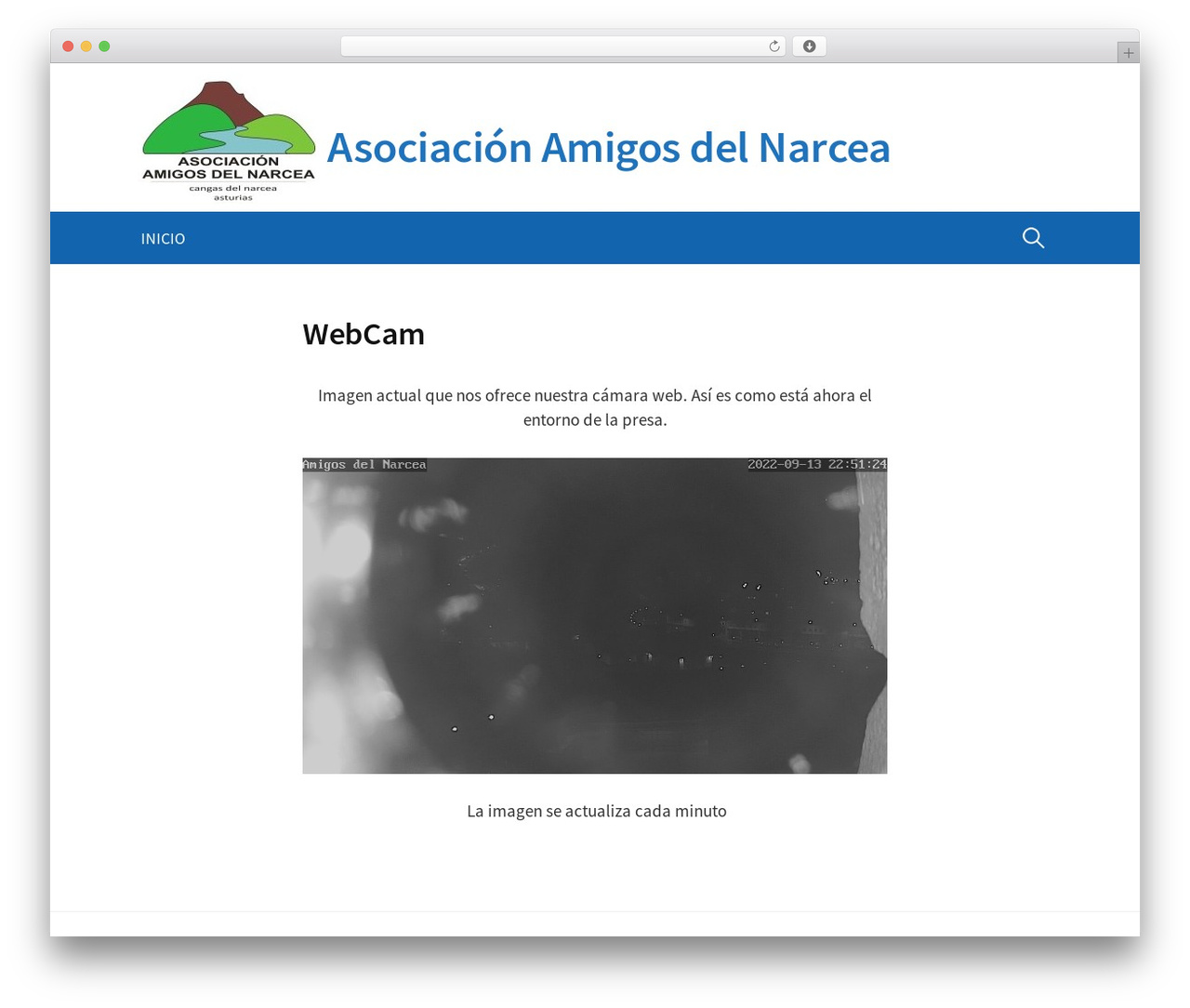 First theme WordPress - amigosdelnarcea.com