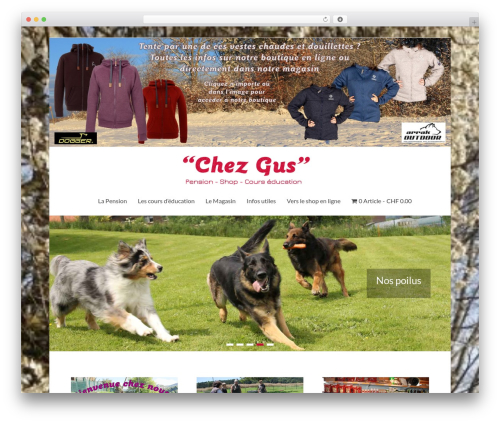 Disable variable product price range WordPress plugin - chezgus.ch