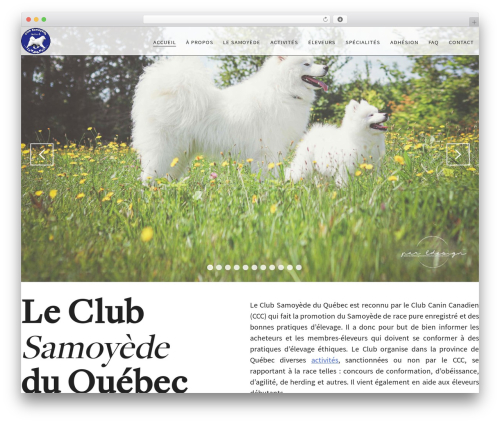 WordPress theme CSQ - clubsamoyedequebec.com