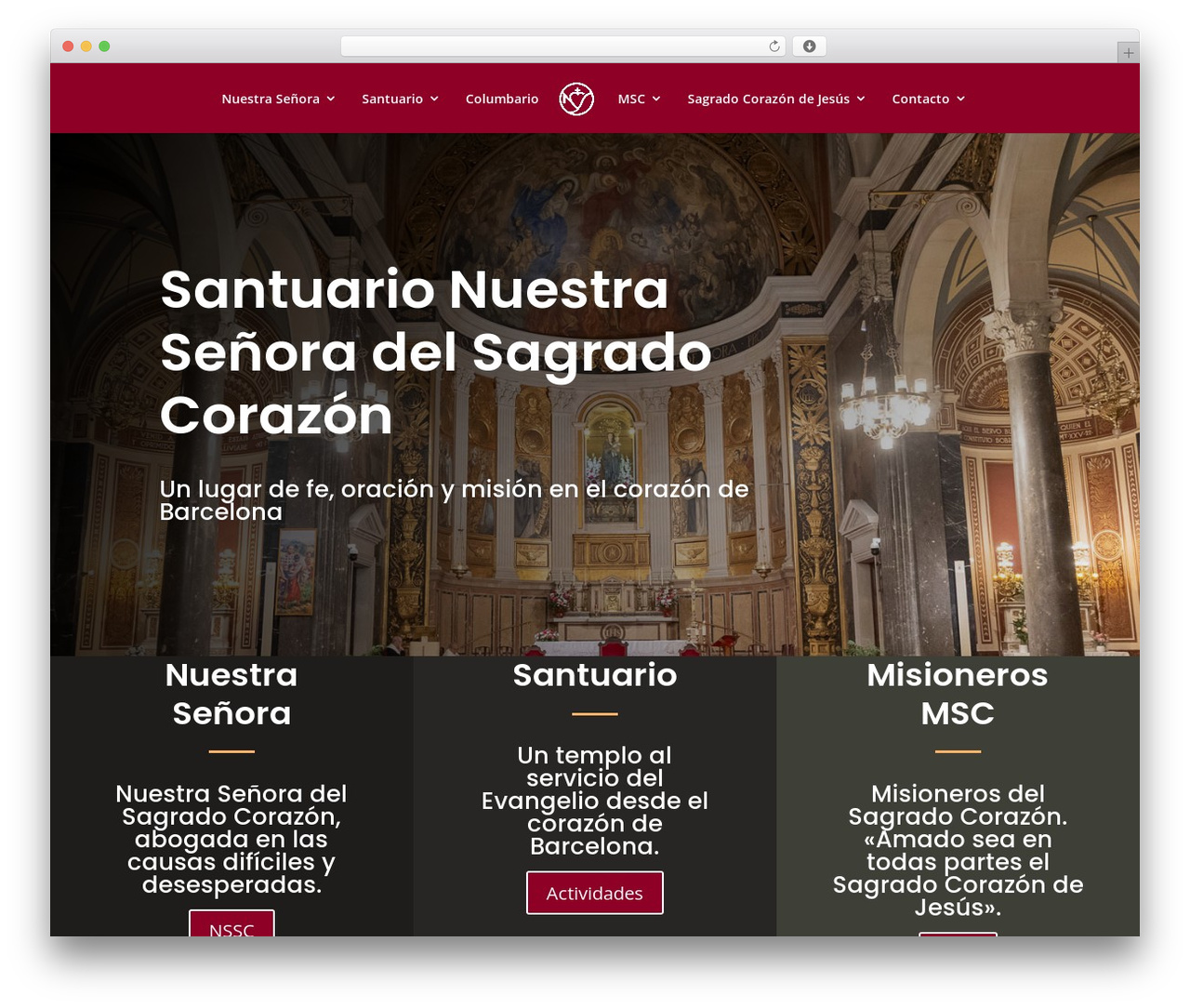 Divi theme WordPress - santuarionssc.com