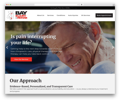 Site customizations WordPress plugin - bayinjury.com