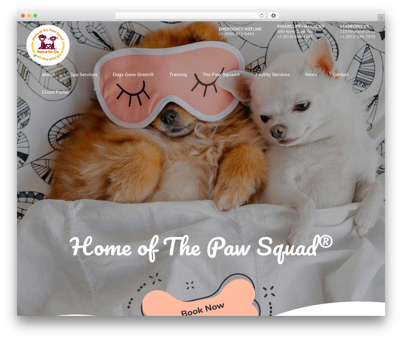 Pawsitive theme WordPress - petsagogo.com Pawsitive theme WordPress - petsagogo.com