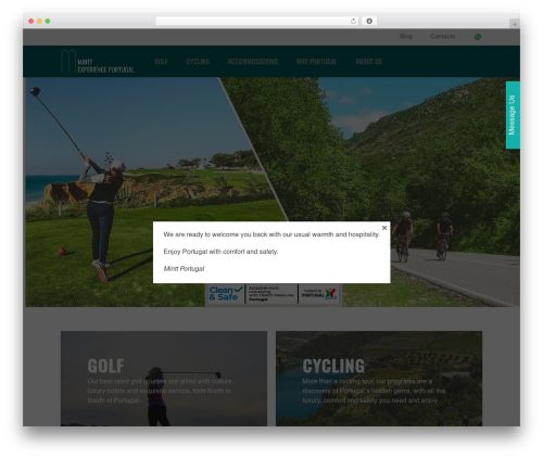 Media grid overlay manager WordPress plugin - minttportugal.com