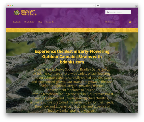 Storefront blog customiser WordPress plugin - bdanks.com