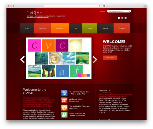 Flash Video Player (flash-video-player) free WordPress plugin - cvcartsfoundation.org Flash Video Player (flash-video-player) free WordPress plugin - cvcartsfoundation.org