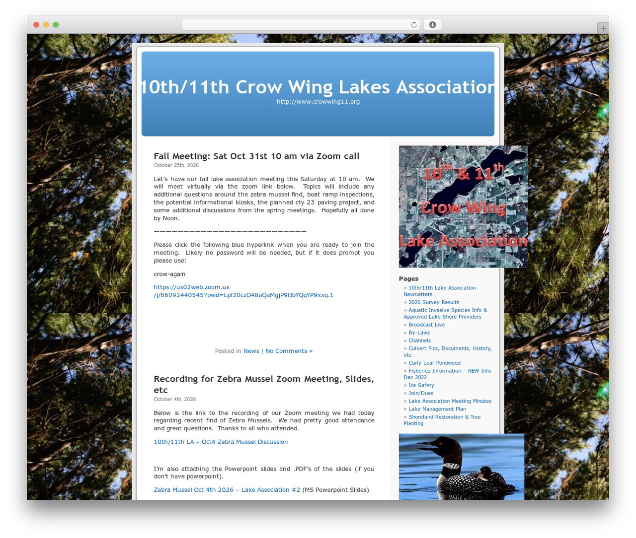 WordPress Default best WordPress theme - crowwing11.org WordPress Default best WordPress theme - crowwing11.org