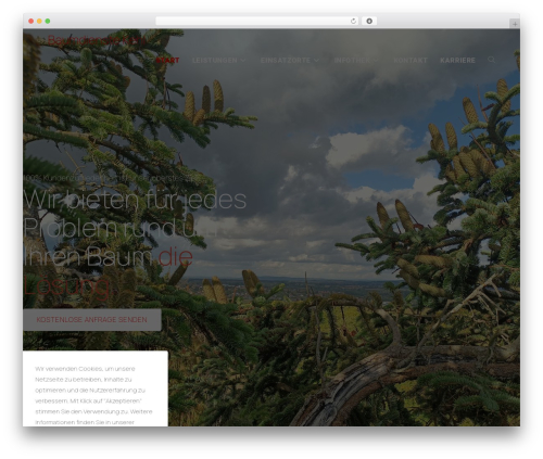 Feeds for tiktok WordPress plugin - baumdienste.de