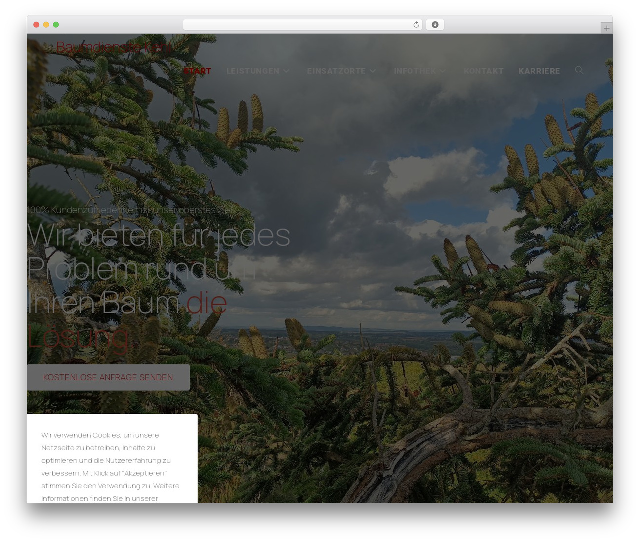 WordPress theme OceanWP - baumdienste.de WordPress theme OceanWP - baumdienste.de