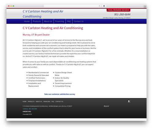 MasterSite Basic 1 WP theme - cvcarlston.com