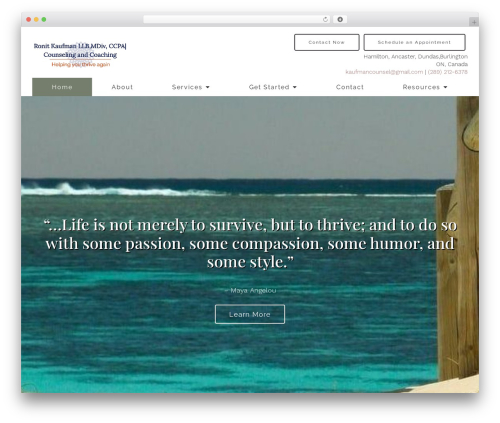 Megatheme WordPress theme - ronitkaufman.com