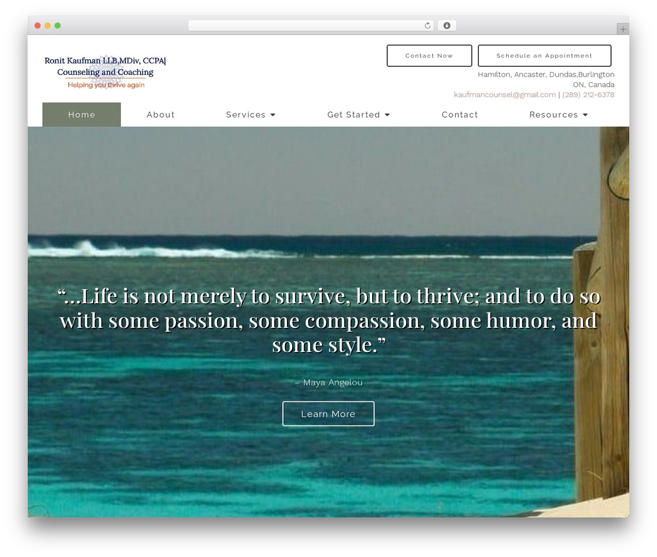 Megatheme WordPress theme - ronitkaufman.com
