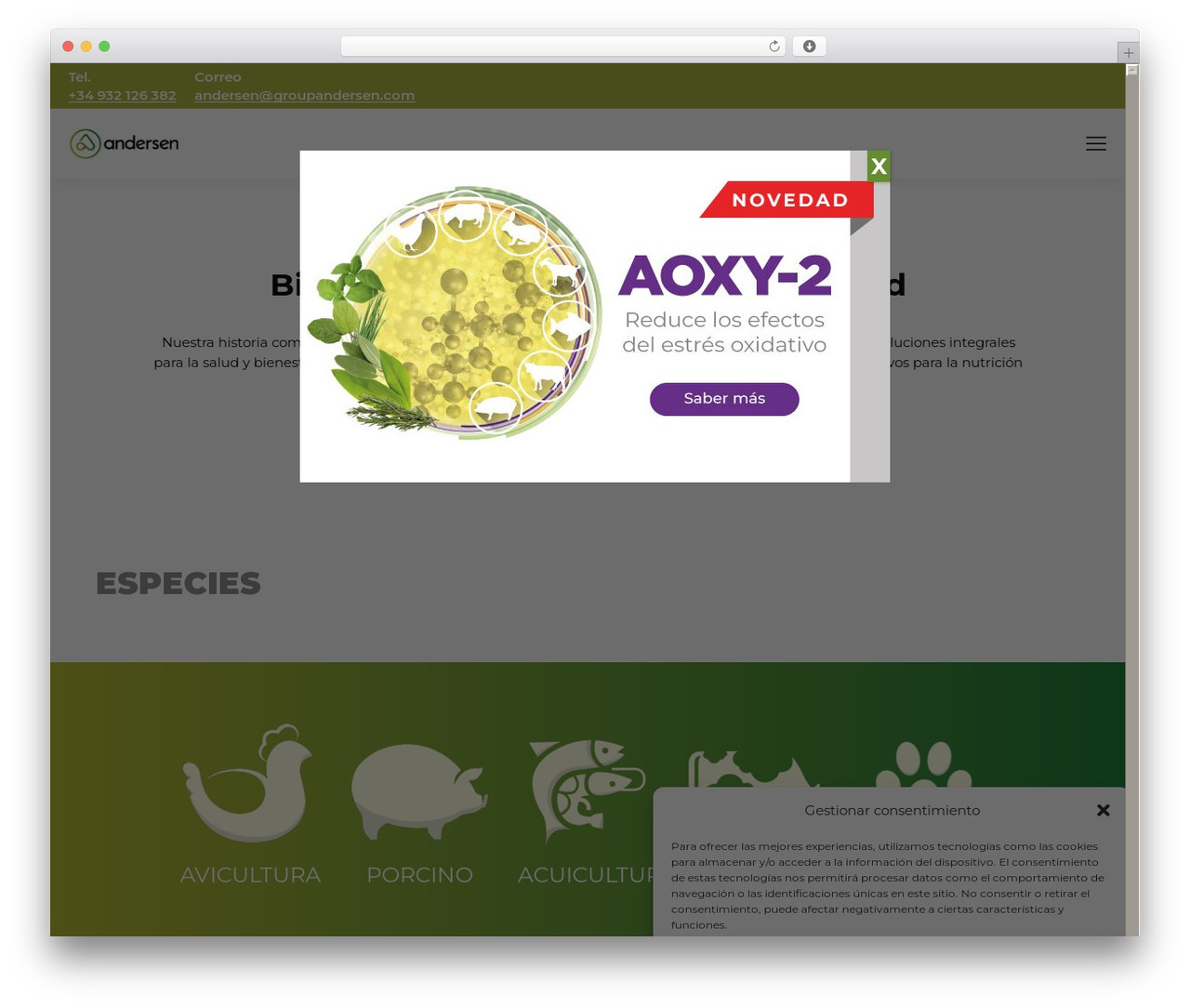 The7 theme WordPress - andersensa.com The7 theme WordPress - andersensa.com