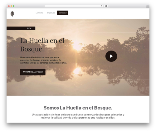Social Media Icons Widget (spoontalk-social-media-icons-widget) free WordPress plugin - lahuella.pe