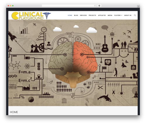 Epoint theme WordPress - clinicalplayground.com
