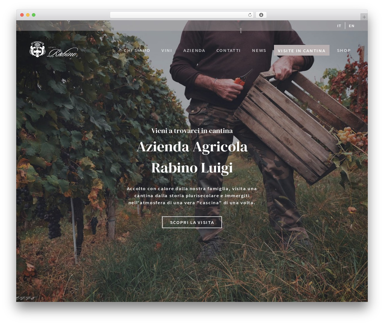 FrontEnd Dev WordPress theme - rabinoluigi.com