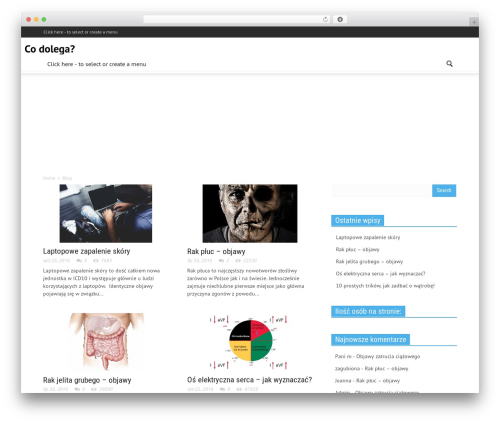 Newspaper WordPress magazine theme - codolega.pl