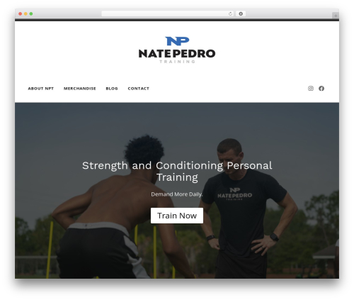 Radcliffe 2 WP theme - natepedrotraining.com