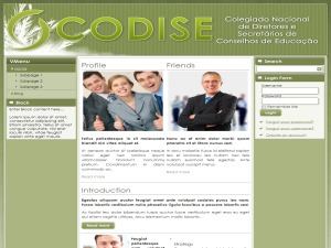 WordPress theme CODISE WordPress theme CODISE