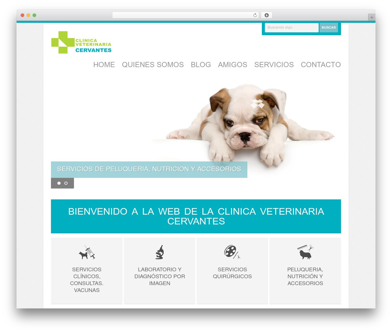 WP theme Zig Zag Responsive - clinicacervantes.com