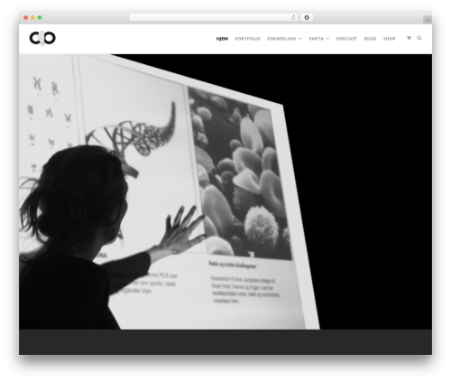 Create theme WordPress - christinabruunolsson.dk