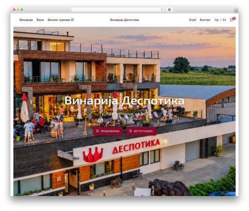 Wpbingo WordPress plugin - despotika.rs