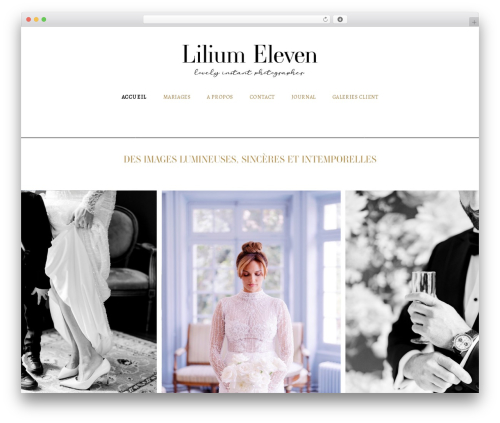 Tm mega menu WordPress plugin - liliumeleven.com