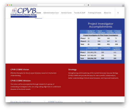Cv monitor WordPress plugin - cpvb.org