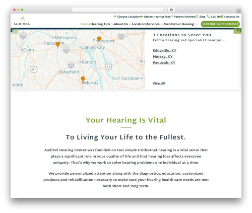 Wcn multisite blocks WordPress plugin - audibelhearingpaducah.com