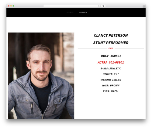 Aslan top WordPress theme - clancypeterson.com