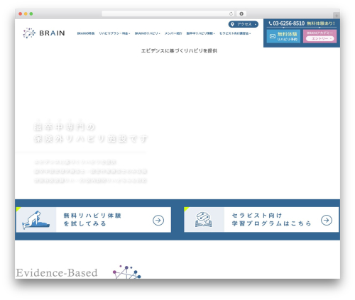 Emanon Premium theme WordPress - brain-lab.net