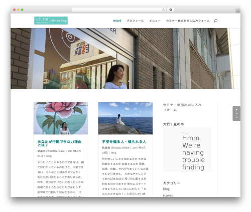 WordPress theme Divi - chinatsublog.com