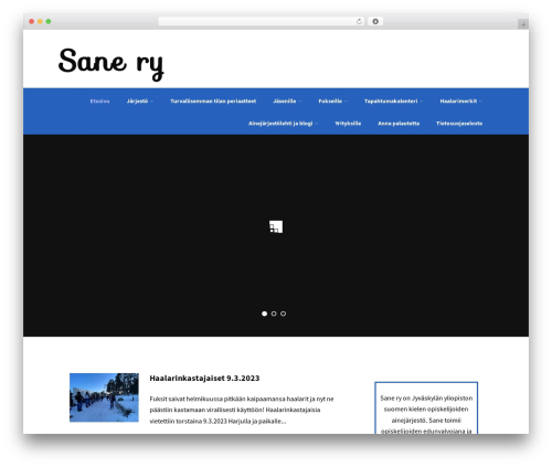 WordPress website theme Optimizer PRO - sanery.org WordPress website theme Optimizer PRO - sanery.org